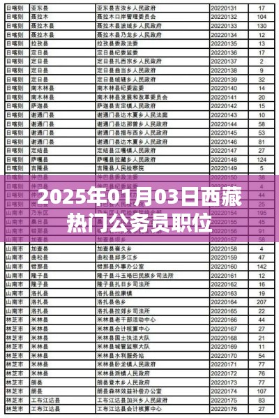 西藏热门公务员职位,了解报名与趋势分析(2025年)