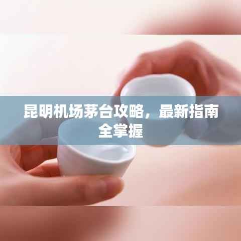 昆明机场茅台攻略,最新指南全掌握