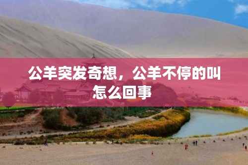 公羊突发奇想,公羊不停的叫怎么回事