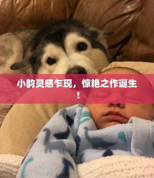 小韵灵感乍现,惊艳之作诞生!