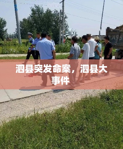 泗县突发命案,泗县大事件