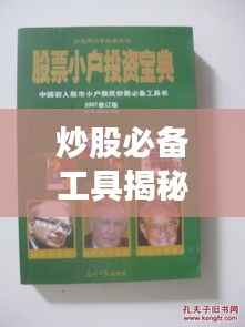 炒股必备工具揭秘,最新股价走势图表解析助你洞悉市场动态