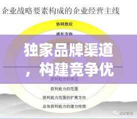 独家品牌渠道,构建竞争优势的战略之选