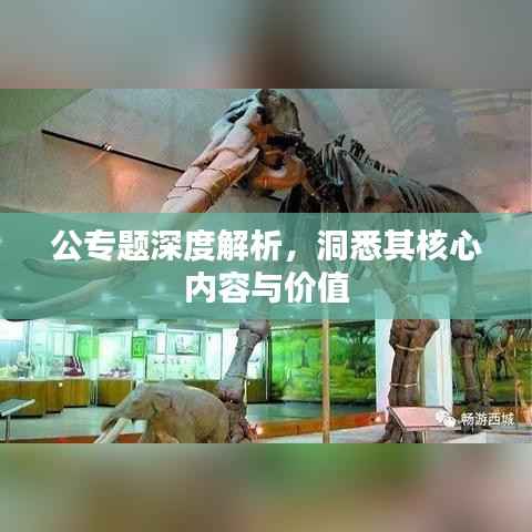 公专题深度解析,洞悉其核心内容与价值