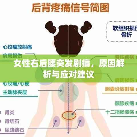 女性右后腰突发剧痛,原因解析与应对建议