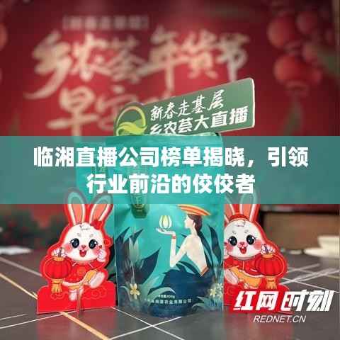 临湘直播公司榜单揭晓,引领行业前沿的佼佼者