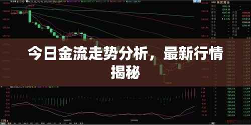 今日金流走势分析,最新行情揭秘