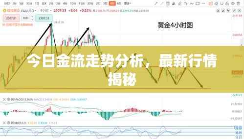 今日金流走势分析,最新行情揭秘