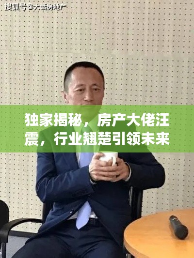 独家揭秘,房产大佬汪震,行业翘楚引领未来