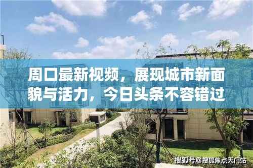 周口最新视频,展现城市新面貌与活力,今日头条不容错过