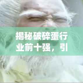 揭秘破碎蛋行业前十强,引领市场潮流的佼佼者