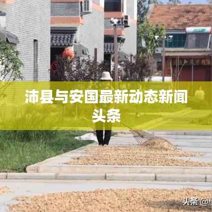 沛县与安国最新动态新闻头条