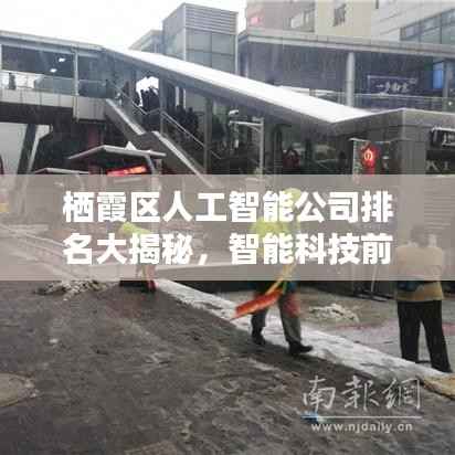 栖霞区人工智能公司排名大揭秘，智能科技前沿力量探索