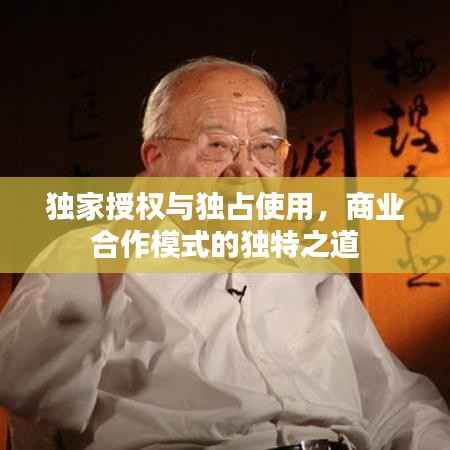 独家授权与独占使用,商业合作模式的独特之道