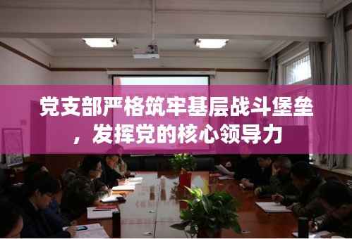 党支部严格筑牢基层战斗堡垒，发挥党的核心领导力