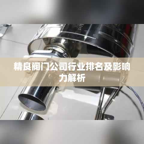精良阀门公司行业排名及影响力解析