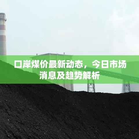 口岸煤价最新动态,今日市场消息及趋势解析