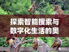 探索智能搜索与数字化生活的奥秘,百度桌面的无限可能