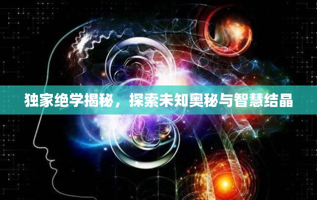 独家绝学揭秘,探索未知奥秘与智慧结晶
