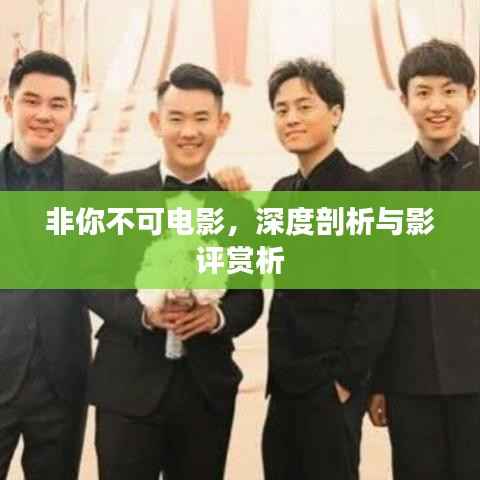 非你不可电影,深度剖析与影评赏析