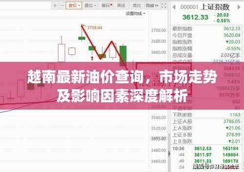 越南最新油价查询,市场走势及影响因素深度解析