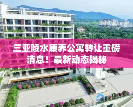 三亚陵水康养公寓转让重磅消息!最新动态揭秘