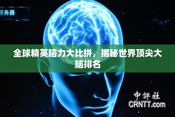 全球精英脑力大比拼，揭秘世界顶尖大脑排名