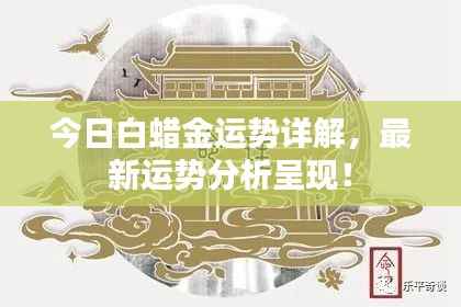 今日白蜡金运势详解,最新运势分析呈现!