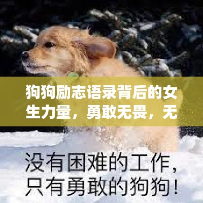狗狗励志语录背后的女生力量,勇敢无畏,无限潜能