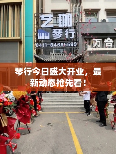 琴行今日盛大开业,最新动态抢先看!