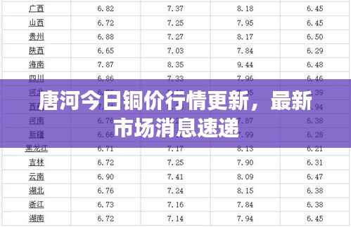 唐河今日铜价行情更新,最新市场消息速递