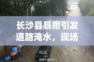 行业新闻 第112页