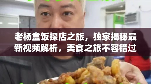 老杨盒饭探店之旅,独家揭秘最新视频解析,美食之旅不容错过!