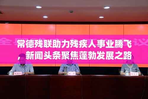 常德残联助力残疾人事业腾飞,新闻头条聚焦蓬勃发展之路