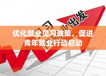 优化就业见习政策,促进青年就业行动启动